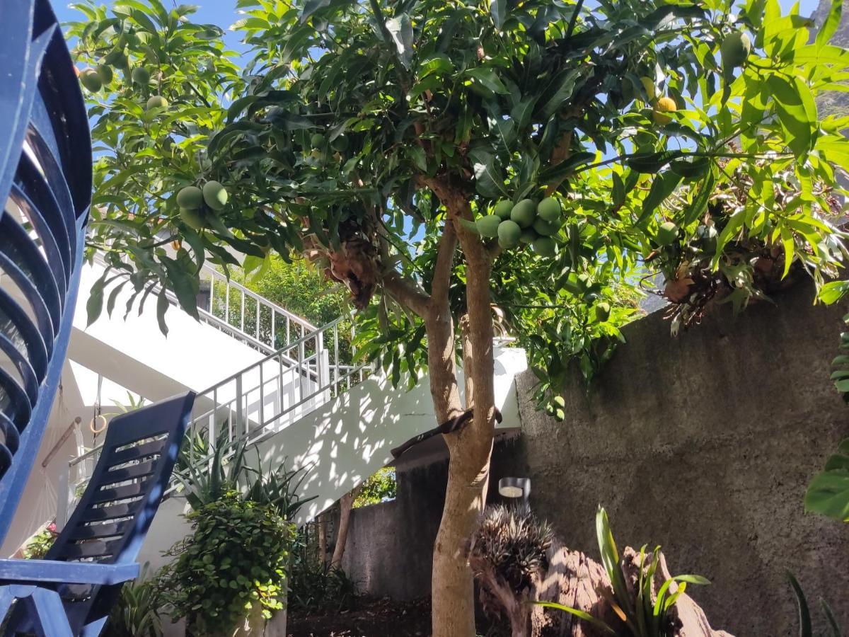 Casa Da Avo Rosa Appartement São Vicente Buitenkant foto