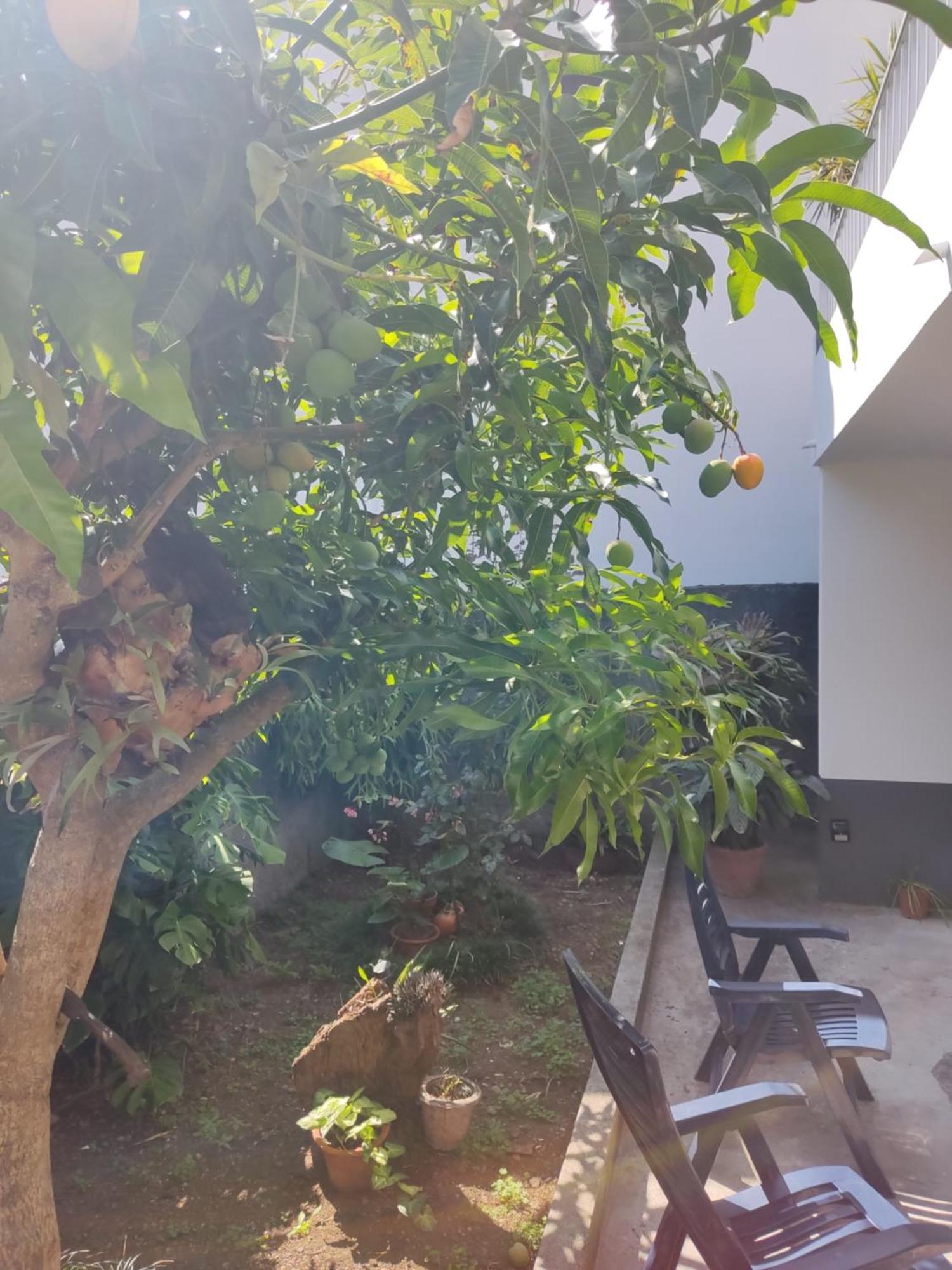 Casa Da Avo Rosa Appartement São Vicente Buitenkant foto